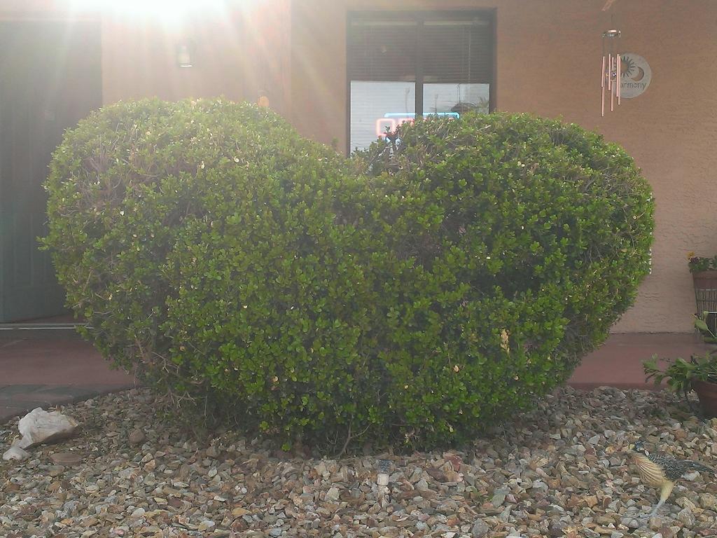 My Place Suites Wickenburg Exterior photo